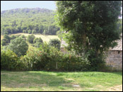 La cour